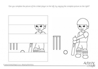 Complete The Cricket Player Puzzle