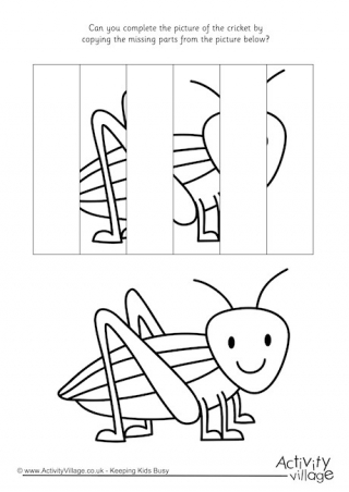 Complete The Cricket Puzzle