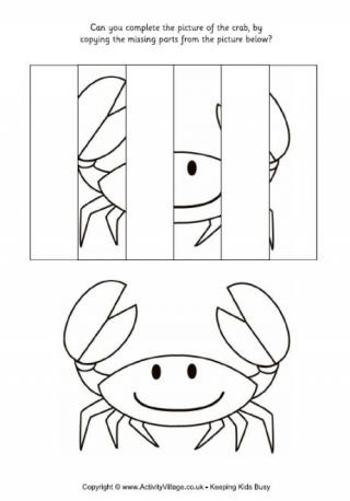 Complete the Crab Puzzle