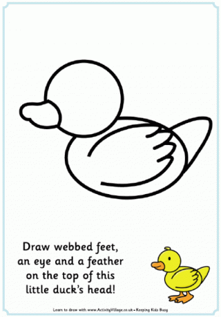 Complete the Duck Picture