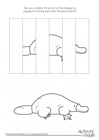 Complete The Platypus Puzzle