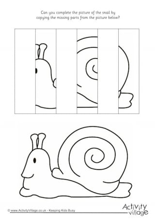 Complete The Snail Puzzle