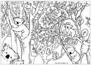 Count the Koalas Puzzle and Colouring Page