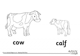 Cow and Calf Colouring Page