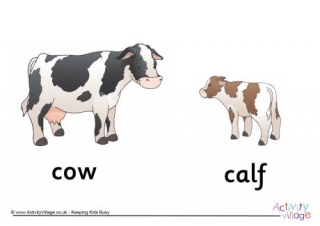 Cow and Calf Poster