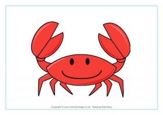 Crab Poster