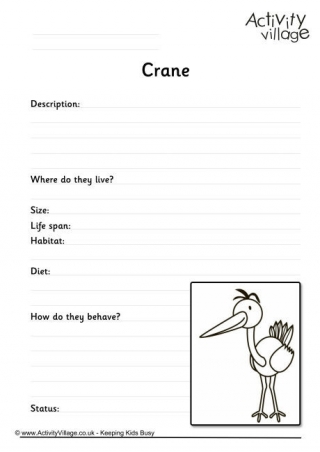 Crane Worksheet
