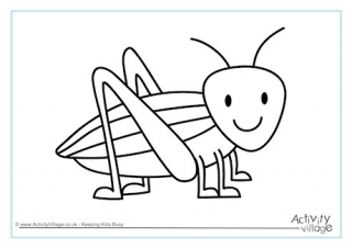 Minibeast Colouring Pages