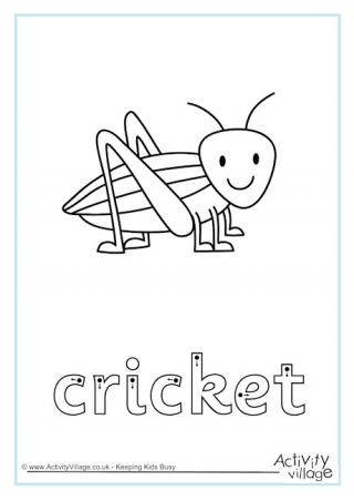 Cricket Finger Tracing