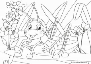 Minibeast Colouring Pages