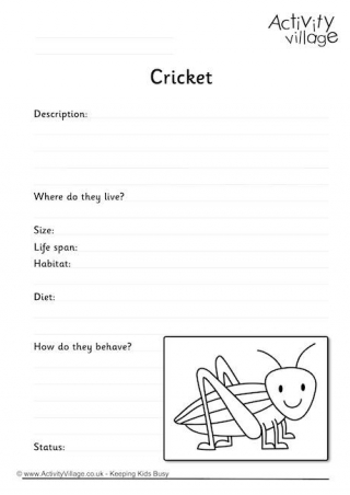 Cricket Worksheet
