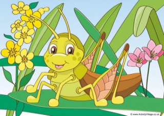 Crickets Scene Poster