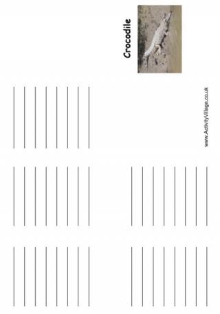 Crocodile Booklet