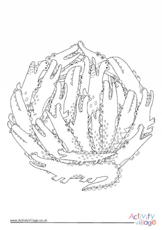 Crocodiles Circle Colouring Page