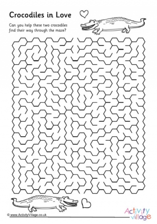 Crocodiles in Love Maze
