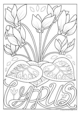 Cyprus National Flower Colouring Page