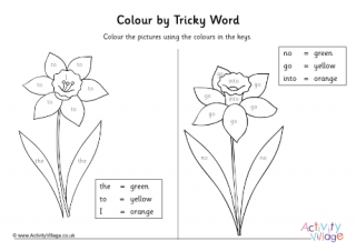 Daffodil Colour by Tricky Words - Phase 2