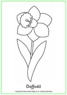 Daffodil Colouring Pages