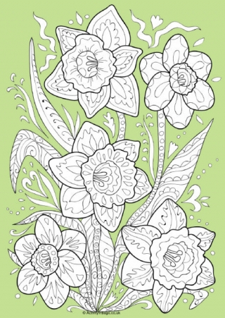 Daffodil Doodle Colour Pop Colouring Page