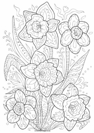 Daffodil Doodle Colouring Page