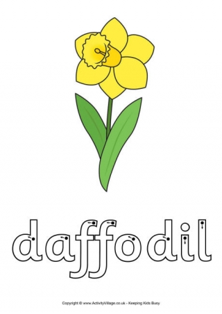 Daffodil Finger Tracing