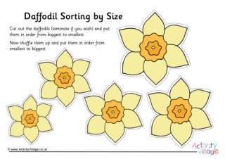 Daffodil Size Sorting