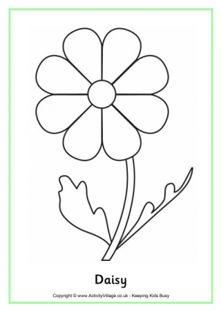 Daisy Colouring Page