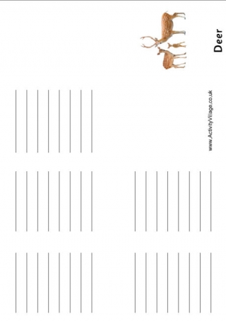 Deer Booklet