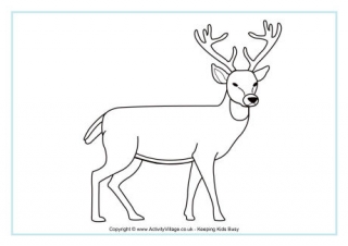 Deer Colouring Page 2