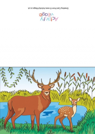 Deer Scene Card