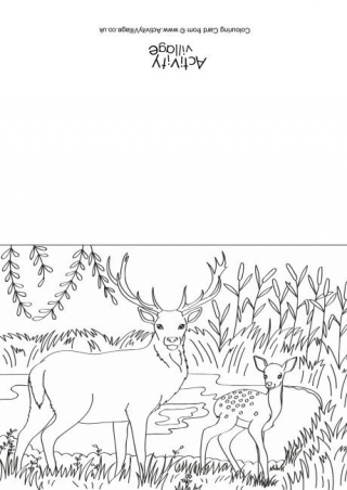 Deer Scene Colouring Card