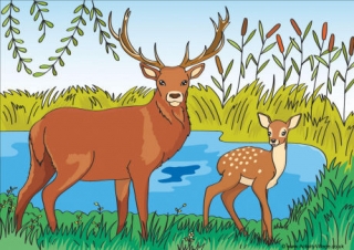 Deer Scene Poster