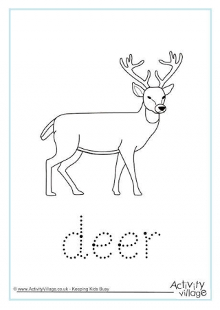 Deer Word Tracing
