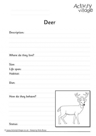 Deer Worksheet