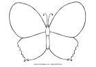 Design A Butterfly Colouring Page