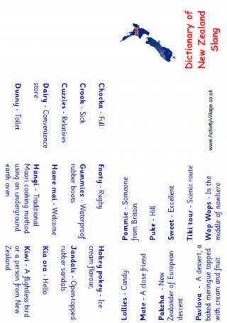 Dictionary of New Zealand Slang
