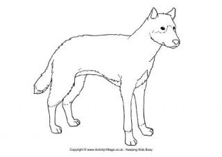 Dingo Colouring Page