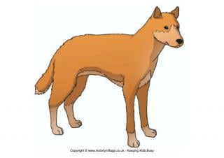 Dingo Poster