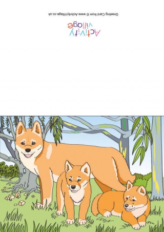 Dingos Scene Card