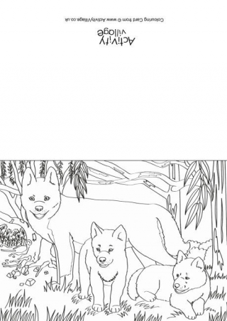 Dingos Scene Colouring Card