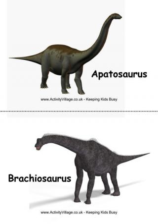 Dinosaurs Flashcards