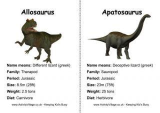 Dinosaur Information Chart