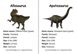 Dinosaurs Flashcards with Information