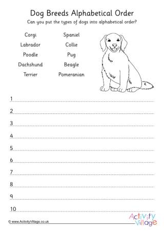 Dog Breeds Alphabetical Order