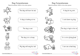  Dog Comprehension Early Readers Phase 3 