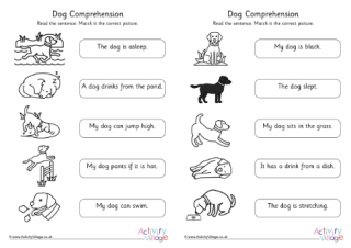 Dog Comprehension Early Readers Phase 4