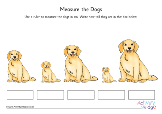 Dog Measuring 