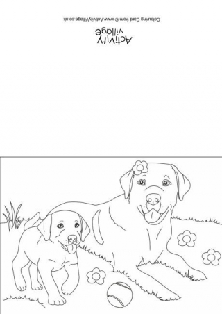 Dogs Scene Colouring Card