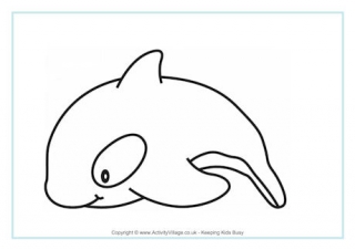 Dolphin Colouring Page 3