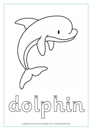 Dolphin Finger Tracing